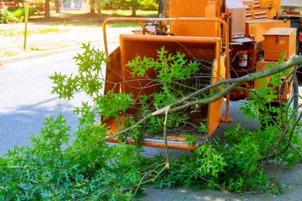 Best Tree Clearing Services  in Fort Smith, AR